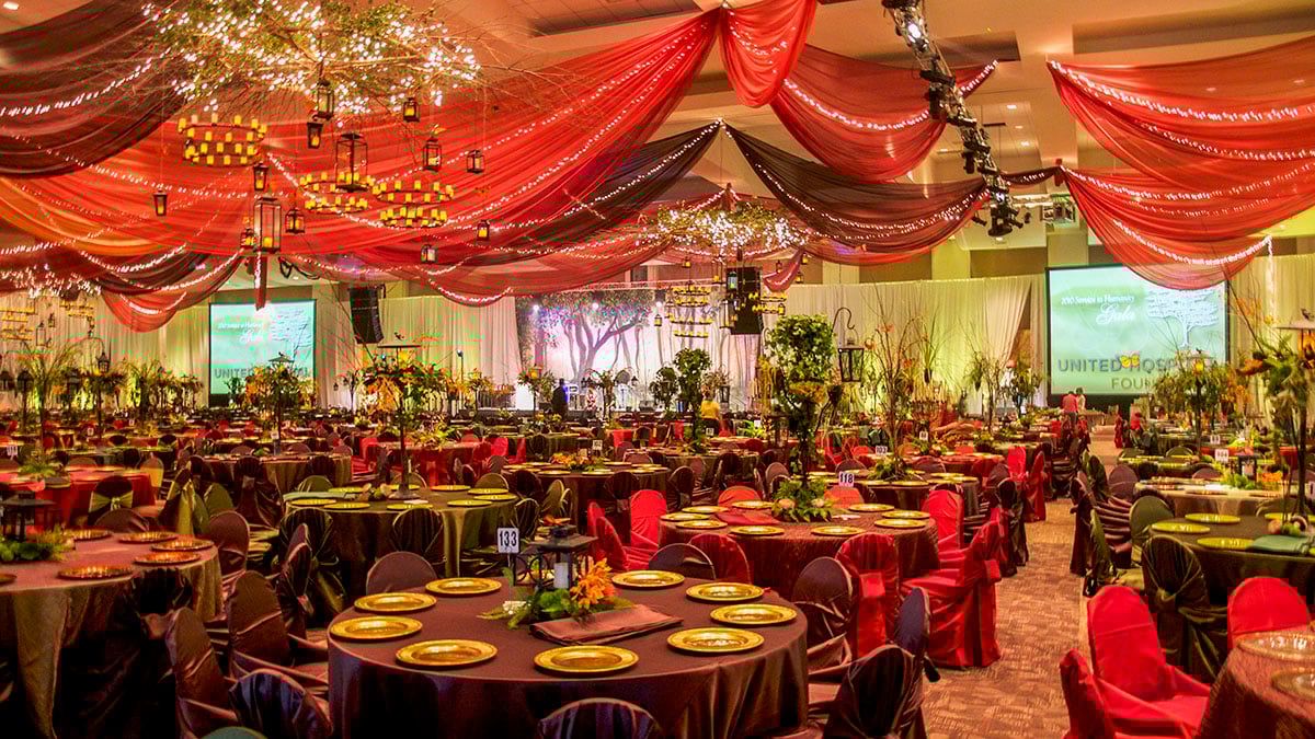 united hospital gala